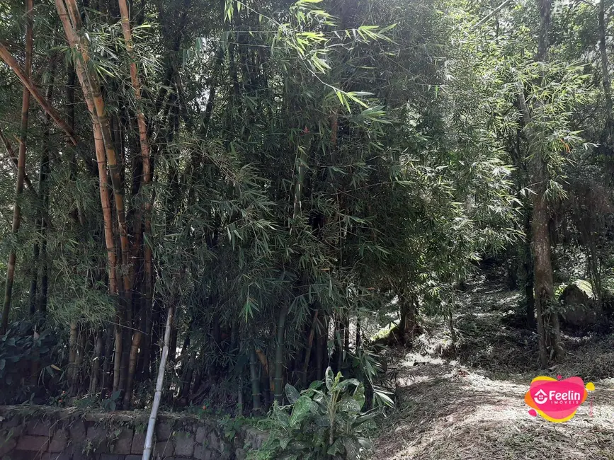 Terreno / Lote à venda, 20000m2 em Armação do Pântano do Sul, Florianopolis - SC - imagem 7 Foto 7 de Terreno / Lote à venda, 20000m2 em Armação do Pântano do Sul, Florianopolis - SC