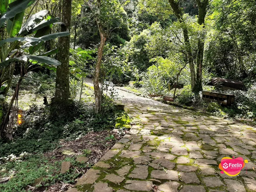 Terreno / Lote à venda, 20000m2 em Armação do Pântano do Sul, Florianopolis - SC - imagem 9 Foto 9 de Terreno / Lote à venda, 20000m2 em Armação do Pântano do Sul, Florianopolis - SC