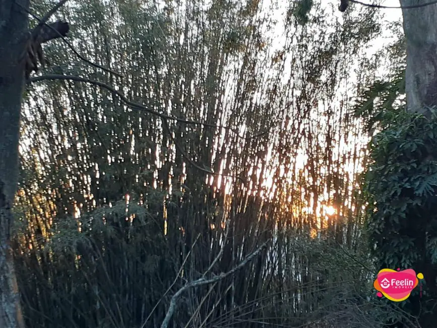 Foto 7 de Terreno / Lote à venda, 1680m2 em Rio Tavares, Florianopolis - SC
