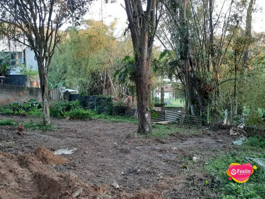 Foto 6 de Terreno / Lote à venda, 1680m2 em Rio Tavares, Florianopolis - SC