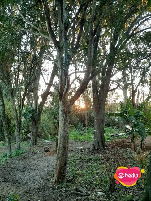 Foto 4 de Terreno / Lote à venda, 1680m2 em Rio Tavares, Florianopolis - SC