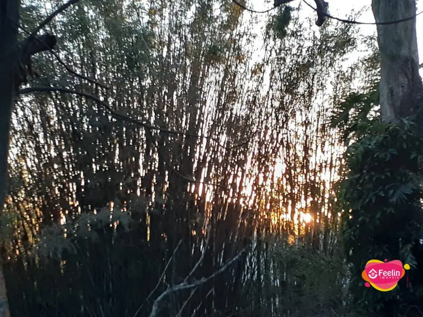 Foto 2 de Terreno / Lote à venda, 1680m2 em Rio Tavares, Florianopolis - SC