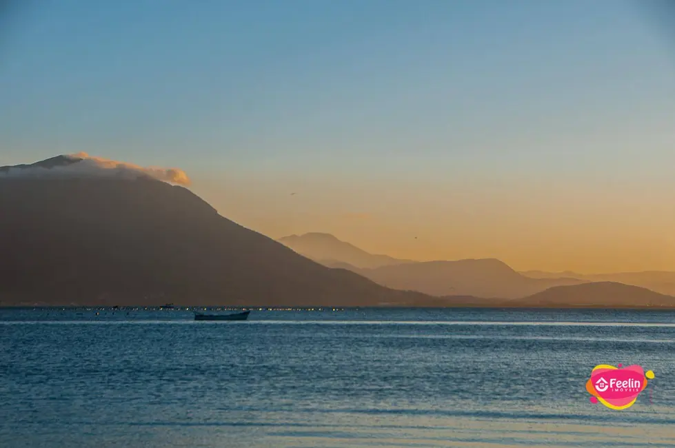 Terreno / Lote à venda, 4260m2 em Ribeirão da Ilha, Florianopolis - SC - imagem 5 Foto 5 de Terreno / Lote à venda, 4260m2 em Ribeirão da Ilha, Florianopolis - SC