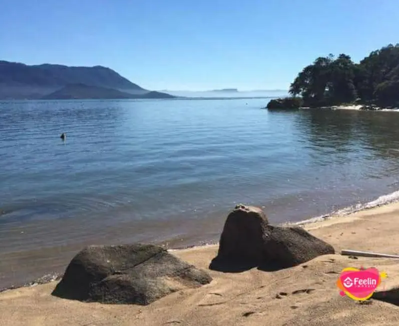 Terreno / Lote à venda, 4260m2 em Ribeirão da Ilha, Florianopolis - SC - imagem 3 Foto 3 de Terreno / Lote à venda, 4260m2 em Ribeirão da Ilha, Florianopolis - SC