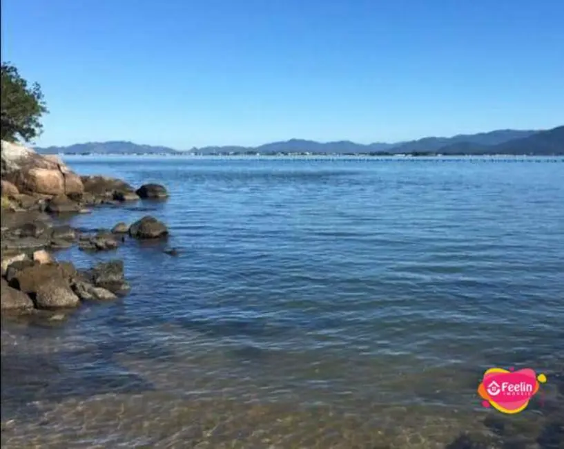 Terreno / Lote à venda, 4260m2 em Ribeirão da Ilha, Florianopolis - SC - imagem 4 Foto 4 de Terreno / Lote à venda, 4260m2 em Ribeirão da Ilha, Florianopolis - SC