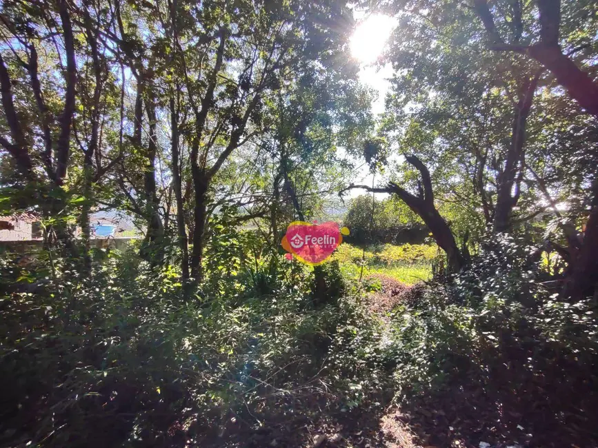 Foto 7 de Terreno / Lote à venda, 799m2 em Rio Tavares, Florianopolis - SC