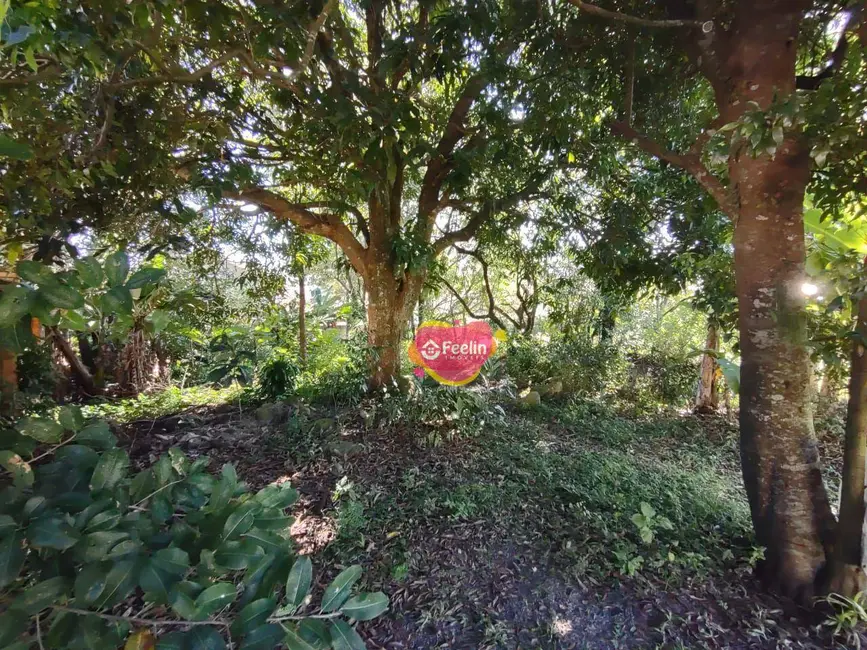 Foto 3 de Terreno / Lote à venda, 799m2 em Rio Tavares, Florianopolis - SC