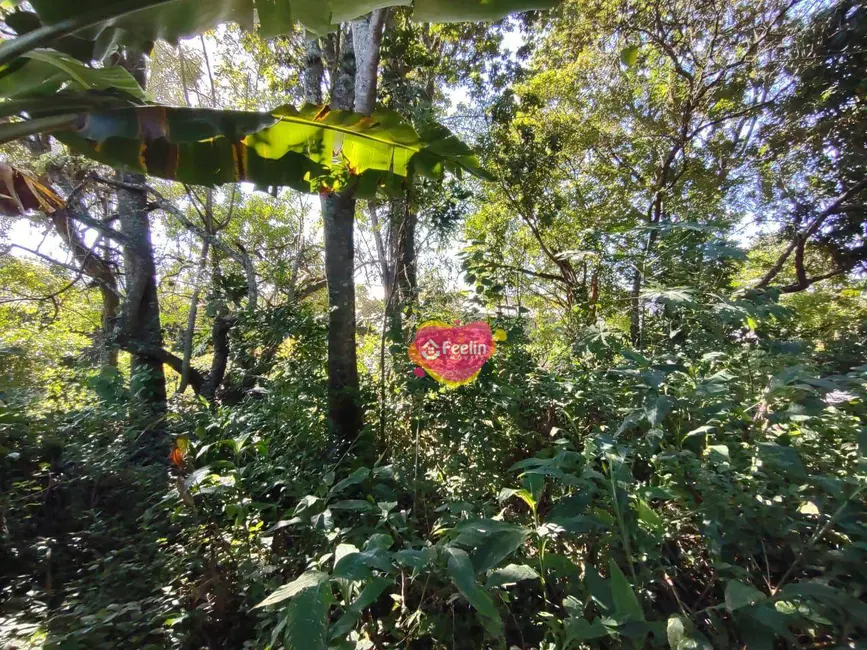 Foto 2 de Terreno / Lote à venda, 799m2 em Rio Tavares, Florianopolis - SC