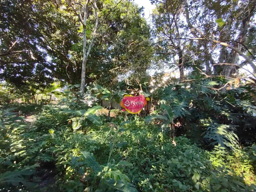 Foto 6 de Terreno / Lote à venda, 799m2 em Rio Tavares, Florianopolis - SC