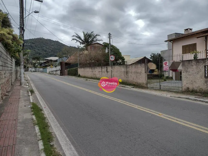 Foto 7 de Casa com 2 quartos à venda, 483m2 em Campeche, Florianopolis - SC