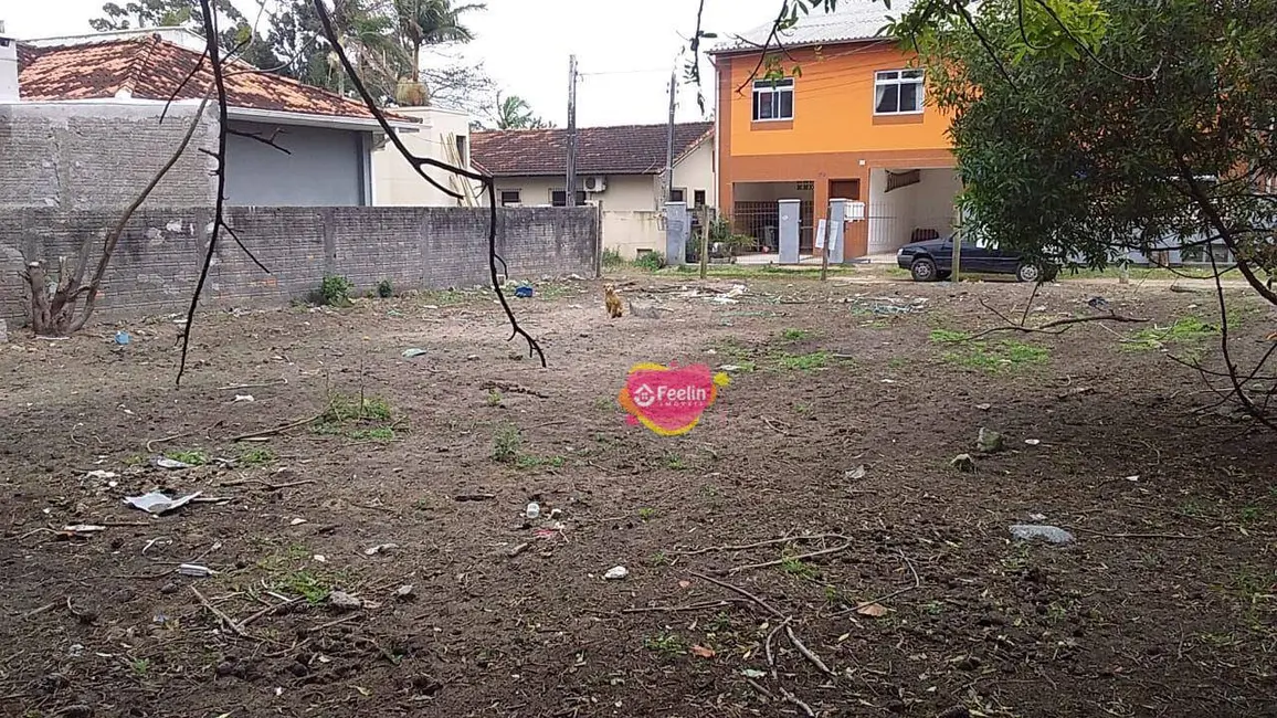Terreno / Lote à venda, 374m2 em Campeche, Florianopolis - SC - imagem 4 Foto 4 de Terreno / Lote à venda, 374m2 em Campeche, Florianopolis - SC