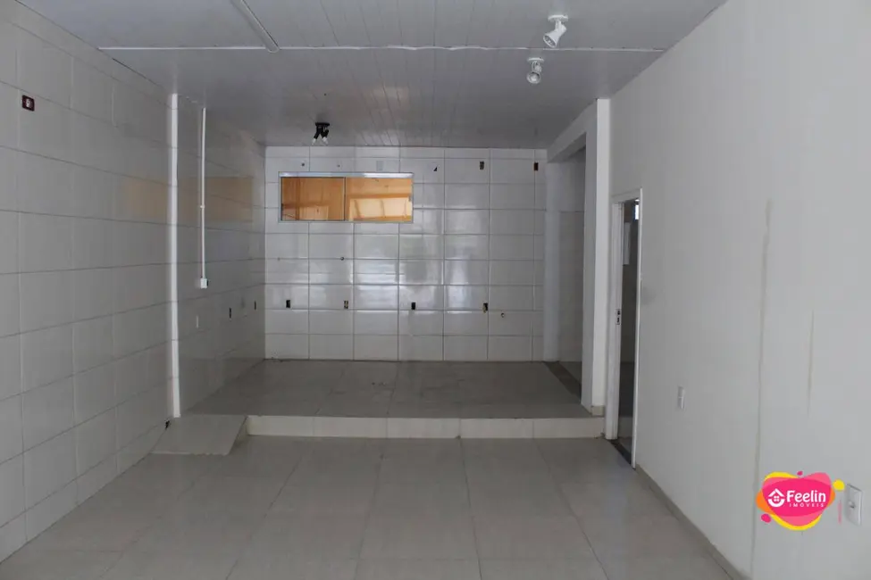 Foto 7 de Sala Comercial à venda, 750m2 em Campeche, Florianopolis - SC