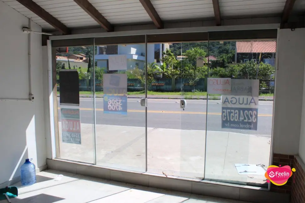 Foto 8 de Sala Comercial à venda, 750m2 em Campeche, Florianopolis - SC