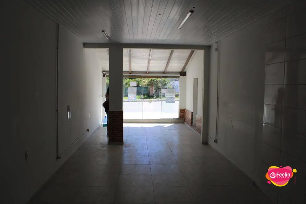 Foto 3 de Sala Comercial à venda, 750m2 em Campeche, Florianopolis - SC