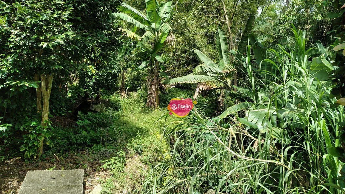 Foto 8 de Casa com 2 quartos à venda, 500m2 em Ribeirão da Ilha, Florianopolis - SC