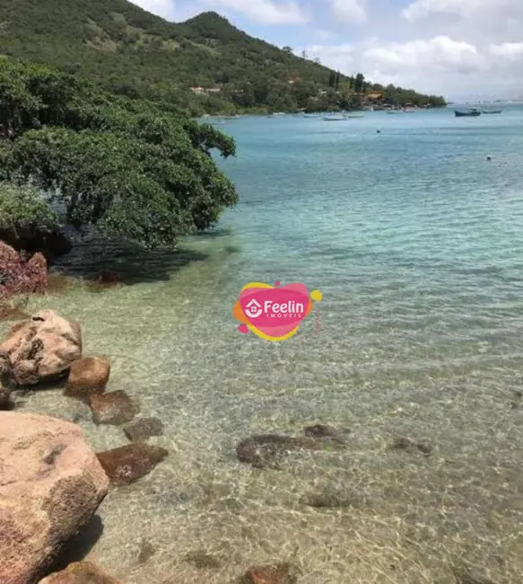 Terreno / Lote à venda, 182m2 em Morro das Pedras, Florianopolis - SC - imagem 4 Foto 4 de Terreno / Lote à venda, 182m2 em Morro das Pedras, Florianopolis - SC