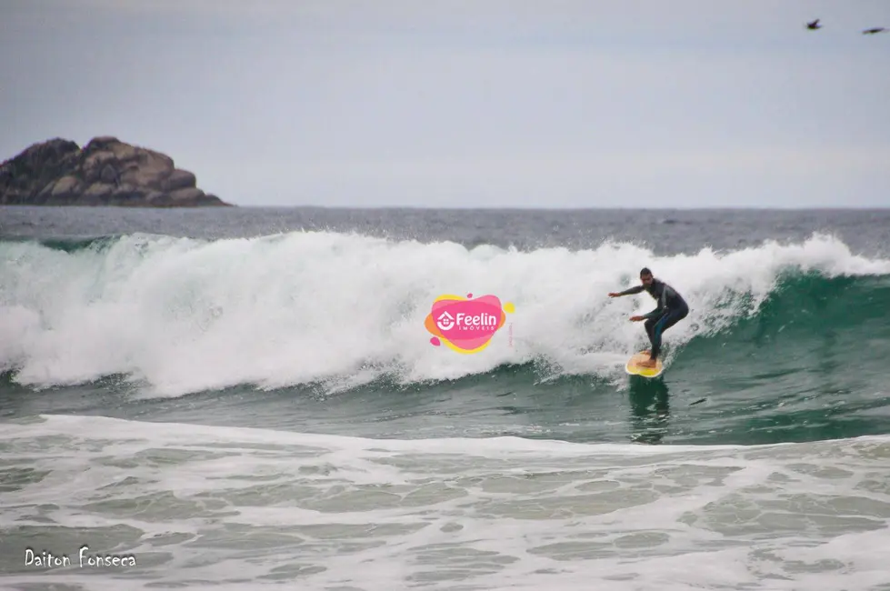 Foto 9 de Casa com 3 quartos à venda, 160m2 em Morro das Pedras, Florianopolis - SC