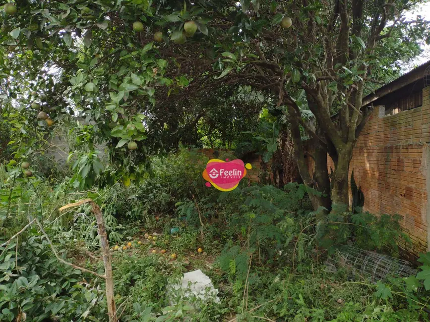 Terreno / Lote à venda, 457m2 em Campeche, Florianopolis - SC - imagem 3 Foto 3 de Terreno / Lote à venda, 457m2 em Campeche, Florianopolis - SC