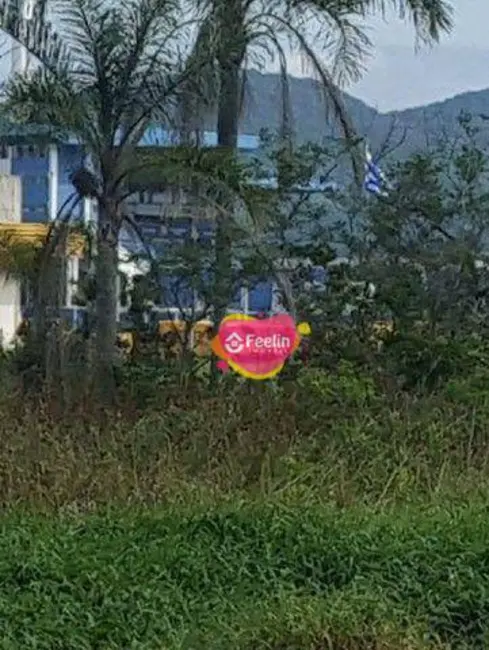Terreno / Lote à venda, 530m2 em Carianos, Florianopolis - SC - imagem 7 Foto 7 de Terreno / Lote à venda, 530m2 em Carianos, Florianopolis - SC