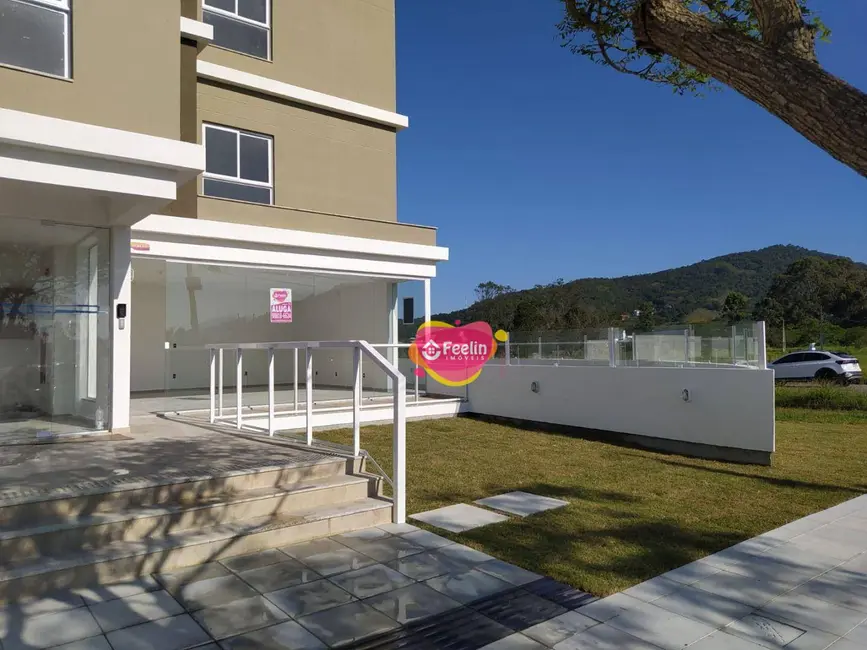 Foto 13 de Loja para alugar, 40m2 em Ribeirão da Ilha, Florianopolis - SC