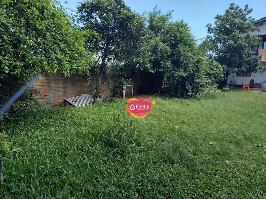 Terreno / Lote à venda, 488m2 em Campeche, Florianopolis - SC - imagem 8 Foto 8 de Terreno / Lote à venda, 488m2 em Campeche, Florianopolis - SC