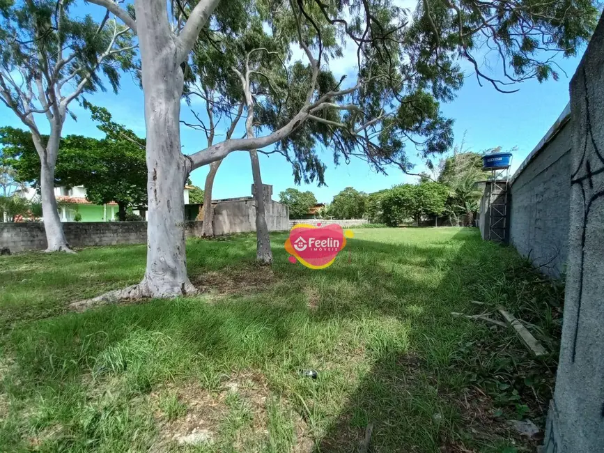 Terreno / Lote à venda, 716m2 em Campeche, Florianopolis - SC - imagem 5 Foto 5 de Terreno / Lote à venda, 716m2 em Campeche, Florianopolis - SC