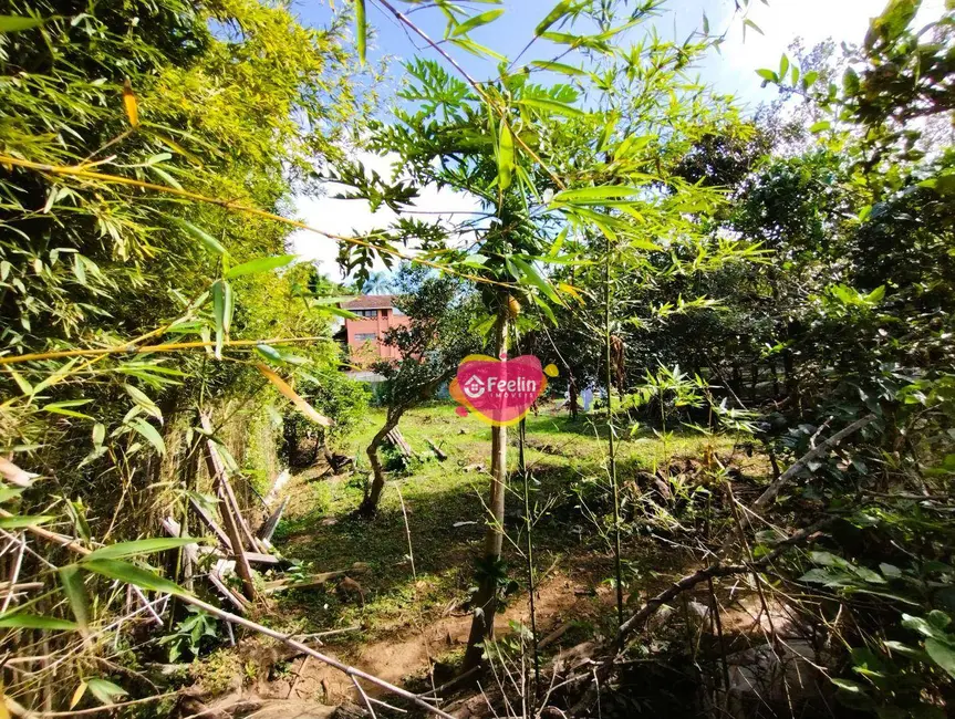 Terreno / Lote à venda, 392m2 em Armação do Pântano do Sul, Florianopolis - SC - imagem 7 Foto 7 de Terreno / Lote à venda, 392m2 em Armação do Pântano do Sul, Florianopolis - SC