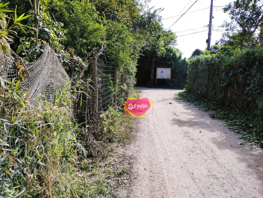Terreno / Lote à venda, 392m2 em Armação do Pântano do Sul, Florianopolis - SC - imagem 5 Foto 5 de Terreno / Lote à venda, 392m2 em Armação do Pântano do Sul, Florianopolis - SC
