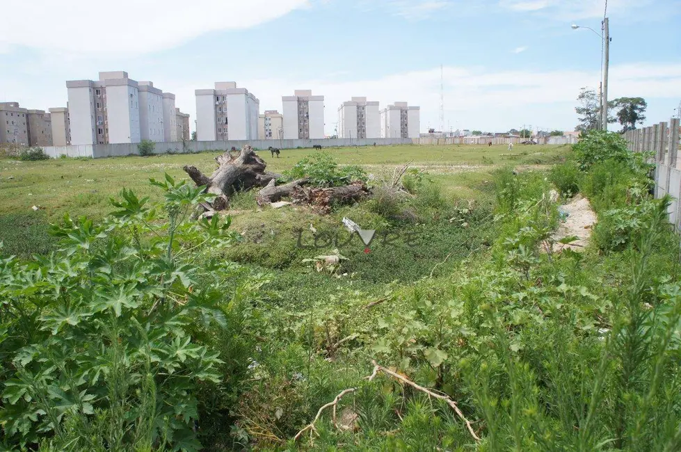 Terreno / Lote à venda, 24630m2 em Vila São Miguel, Rio Grande - RS - imagem 5 Foto 5 de Terreno / Lote à venda, 24630m2 em Vila São Miguel, Rio Grande - RS