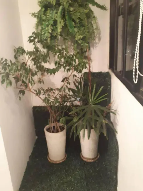 Cobertura com 3 quartos à venda, 180m2 em Indianópolis, São Paulo - SP - imagem 3 Foto 3 de Cobertura com 3 quartos à venda, 180m2 em Indianópolis, São Paulo - SP