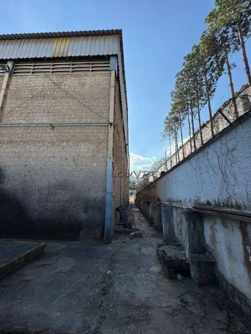 Foto 4 de Armazém / Galpão para alugar, 11500m2 em Industrial Anhangüera, Osasco - SP