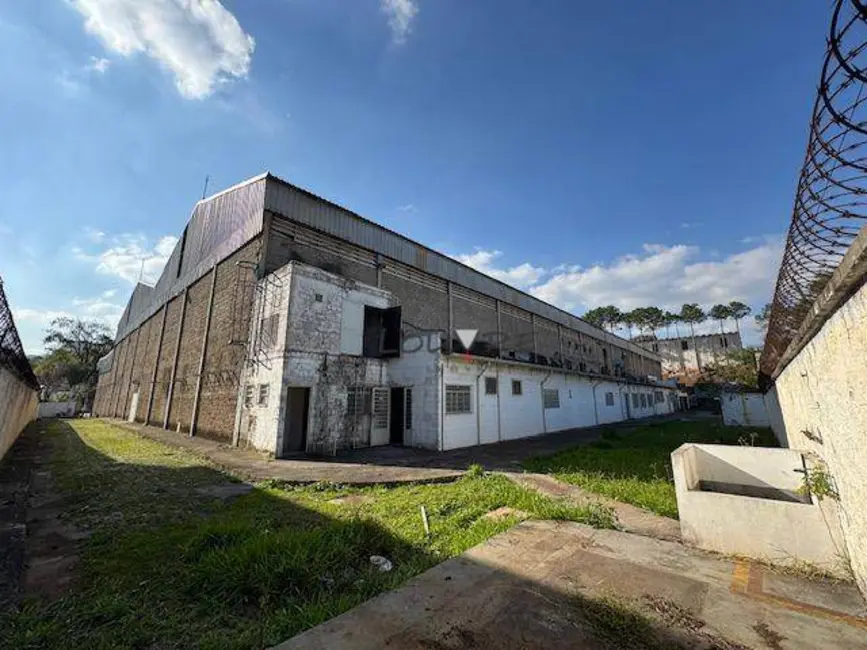 Foto 7 de Armazém / Galpão para alugar, 11500m2 em Industrial Anhangüera, Osasco - SP