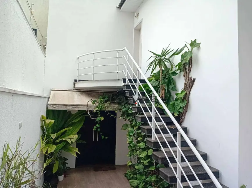 Foto 2 de Casa com 3 quartos à venda, 400m2 em Vila Mascote, São Paulo - SP