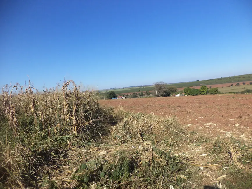 Foto 3 de Sítio / Rancho à venda em Engenheiro Coelho - SP