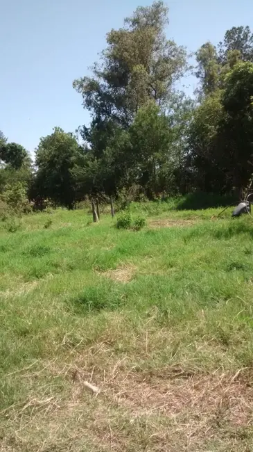 Foto 3 de Sítio / Rancho à venda, 20000m2 em Conchal - SP