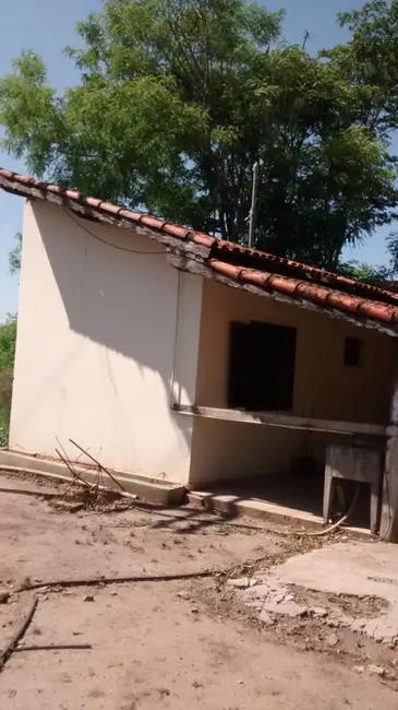 Foto 5 de Sítio / Rancho à venda, 20000m2 em Conchal - SP