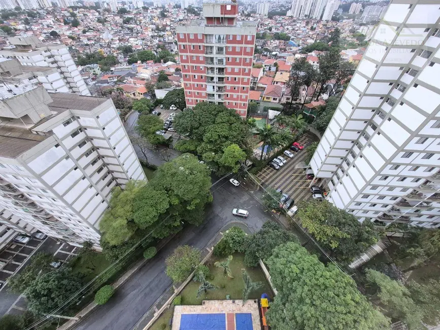 Apartamento com 3 quartos para alugar, 73m2 em Jardim Colombo, São Paulo - SP - imagem 5 Foto 5 de Apartamento com 3 quartos para alugar, 73m2 em Jardim Colombo, São Paulo - SP