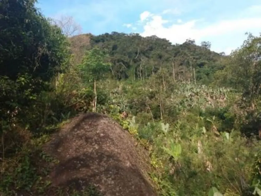 Foto 8 de Chácara com 5 quartos à venda em Itariri - SP