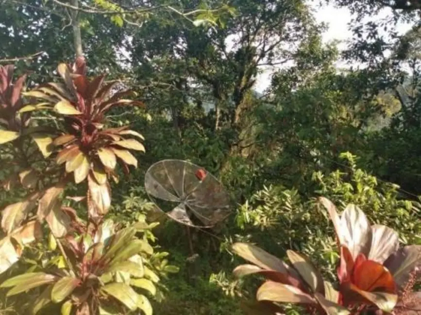 Foto 7 de Chácara com 5 quartos à venda em Itariri - SP