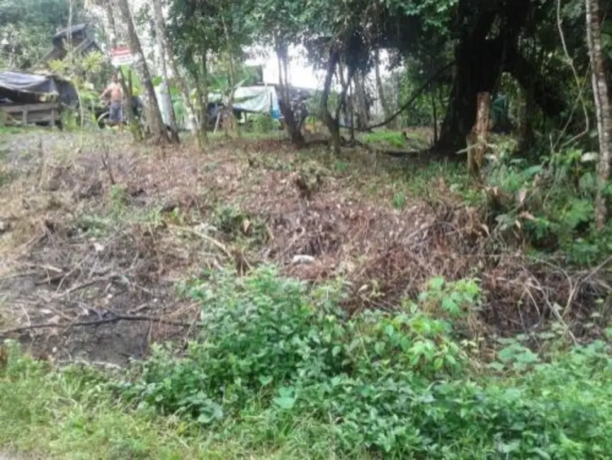 Foto 2 de Terreno / Lote à venda, 275m2 em Itanhaem - SP