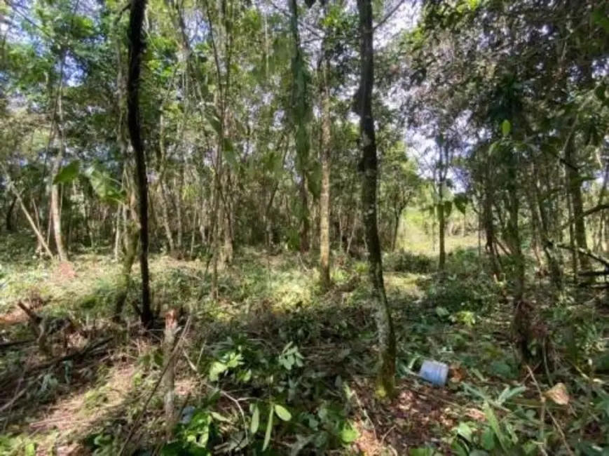 Chácara à venda, 2537m2 em Itanhaem - SP - imagem 8 Foto 8 de Chácara à venda, 2537m2 em Itanhaem - SP