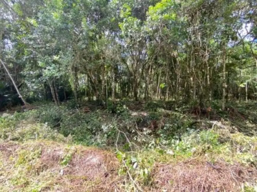 Chácara à venda, 2537m2 em Itanhaem - SP - imagem 4 Foto 4 de Chácara à venda, 2537m2 em Itanhaem - SP