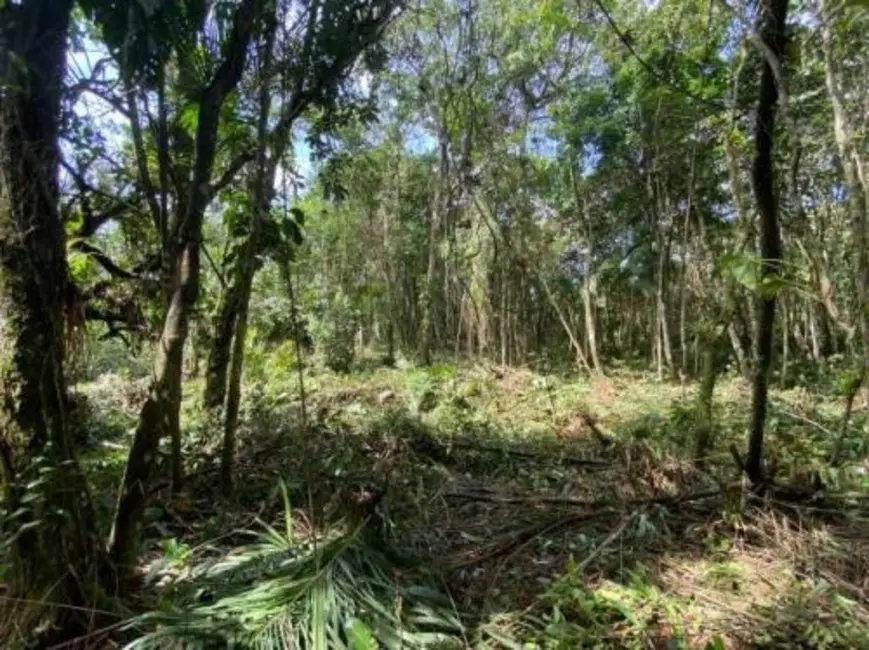 Chácara à venda, 2537m2 em Itanhaem - SP - imagem 7 Foto 7 de Chácara à venda, 2537m2 em Itanhaem - SP