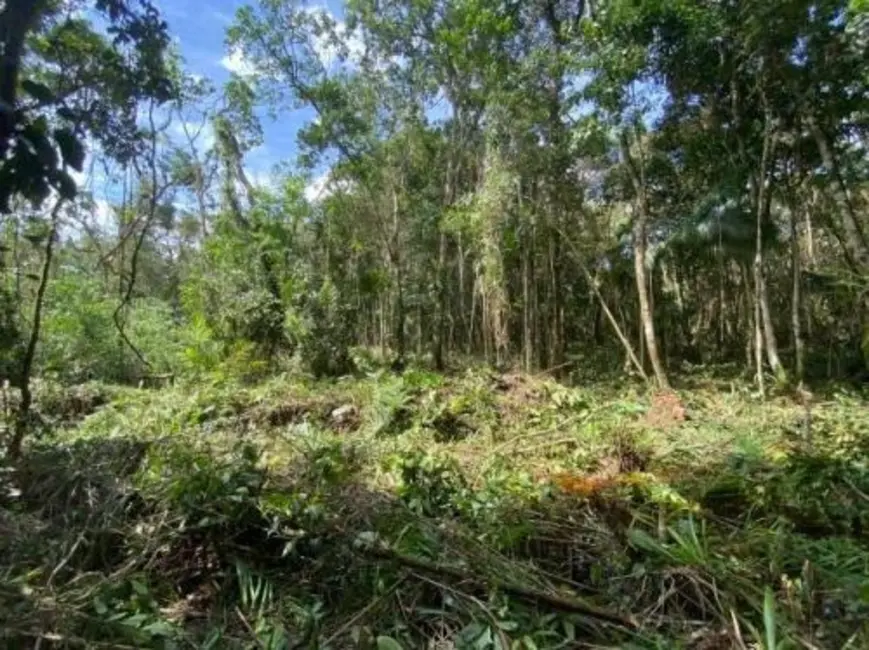 Chácara à venda, 2537m2 em Itanhaem - SP - imagem 5 Foto 5 de Chácara à venda, 2537m2 em Itanhaem - SP