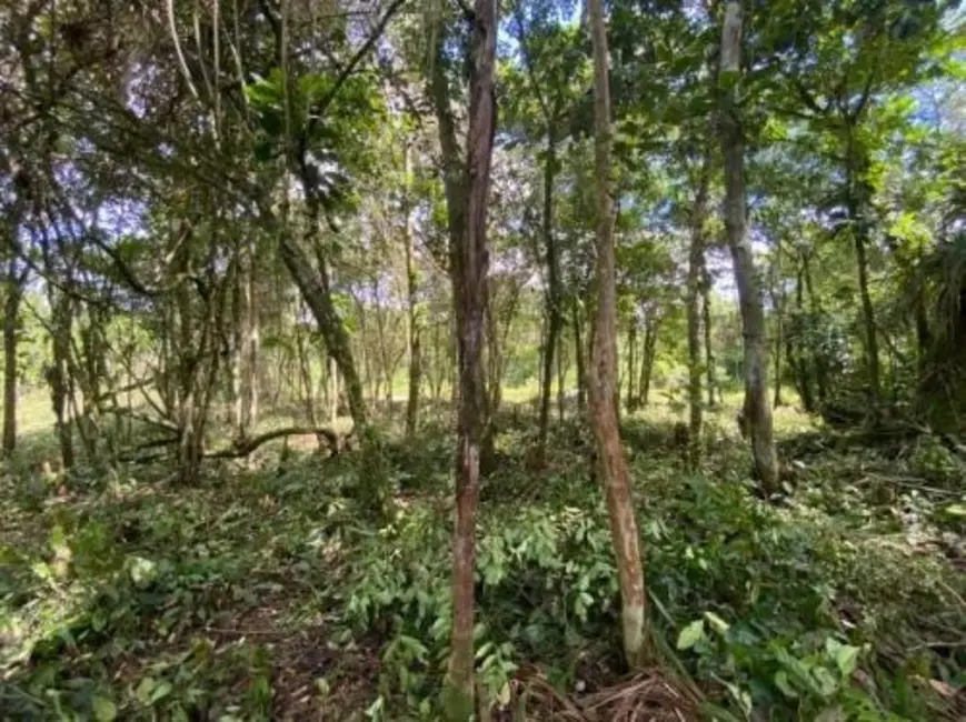 Chácara à venda, 2537m2 em Itanhaem - SP - imagem 6 Foto 6 de Chácara à venda, 2537m2 em Itanhaem - SP