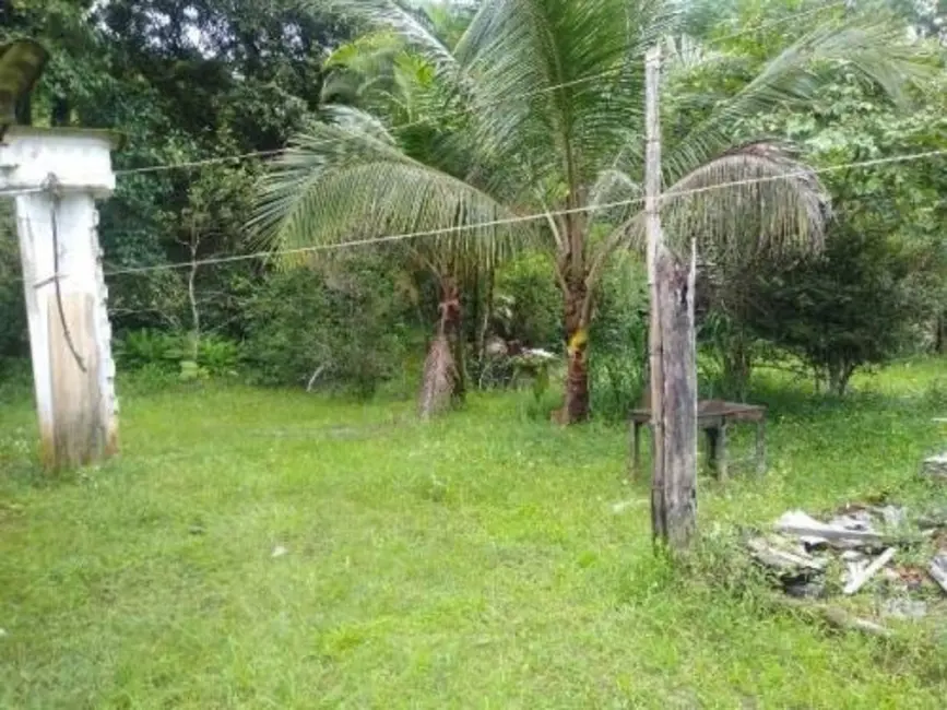 Chácara à venda em Peruibe - SP - imagem 5 Foto 5 de Chácara à venda em Peruibe - SP