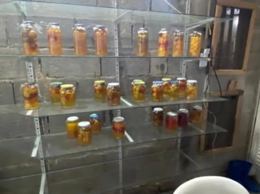 Foto 8 de Chácara com 4 quartos à venda, 100m2 em Itanhaem - SP