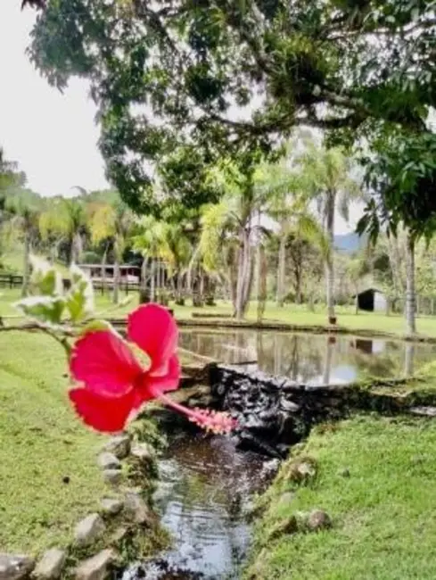 Foto 3 de Chácara com 5 quartos à venda, 250m2 em Pedro De Toledo - SP