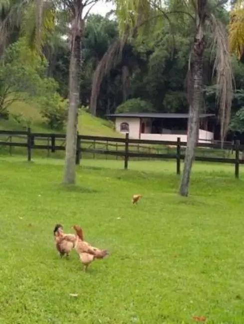 Foto 8 de Chácara com 5 quartos à venda, 250m2 em Pedro De Toledo - SP