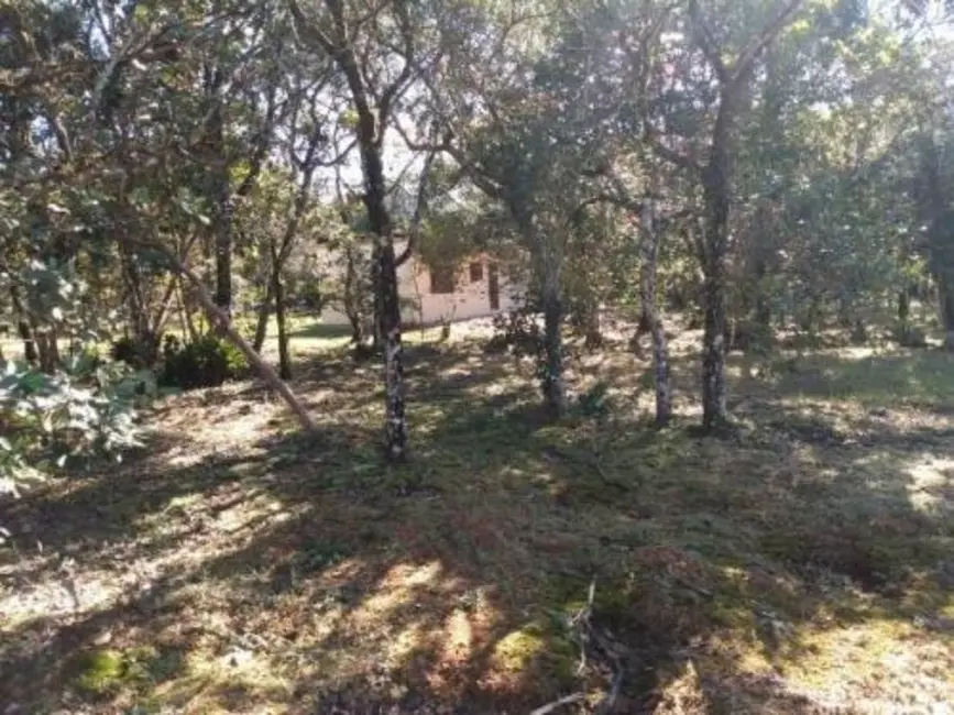 Chácara com 2 quartos à venda, 70m2 em Itanhaem - SP - imagem 6 Foto 6 de Chácara com 2 quartos à venda, 70m2 em Itanhaem - SP